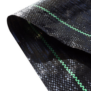 穴のある工場の雑草防止バリアは農業をカスタマイズしますPP織り雑草マット野菜PEグラウンドカバーファブリックマルチ - Product Image 4