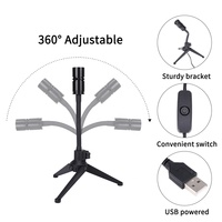 Projecteur led USB avec support rotatif à 360 degrés, 2 en 1, lampe de Projection de la terre, utilisable sur une Table