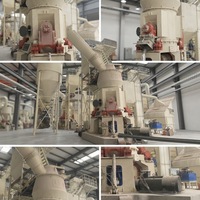 Broyeur vertical à rouleaux pour perlite expansée OEM, contrôle PLC, moteur AC Siemens, capacité 0,5-12 t/h pour la production de poudre micronisée
