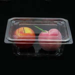 Wadah persegi panjang plastik kompartemen tunggal mangkuk kotak makanan nampan dengan tutup