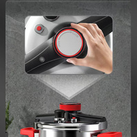 Casserole à pression de grande capacité avec logo personnalisé, compatible avec les cuisinières à induction, pour la mijotade, micro-casserole à pression