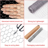 Grillage hexagonal en fer galvanisé certifié ISO9001 pour cages à poulets, enclos et clôtures, pliage personnalisé