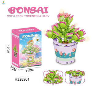 170 pièces en plastique succulent planteur bâtiment <span class=keywords><strong>bricolage</strong></span> botanique fleur <span class=keywords><strong>atelier</strong></span> bureau décor relaxant cadeaux créatifs <span class=keywords><strong>pour</strong></span> <span class=keywords><strong>femmes</strong></span> adultes - Product Image 2