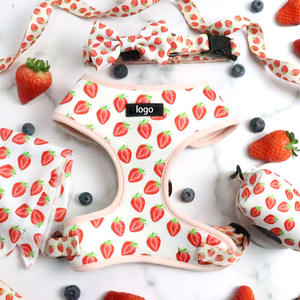 Harnais Confortable et Élégant en Maille Fraise pour Chien, Ensemble Laisse Courte, Gilet Rembourré Anti-Traction, Laisse à Libération Rapide pour Chats et Chiens - Product Image 1