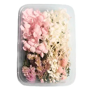 UKIQUEEN批发1盒各种手工制作天然保鲜花干花树脂工艺