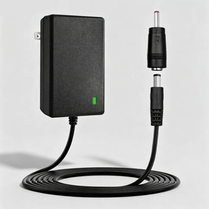 Chargeur d'alimentation 25,2 V 1 A pour batterie au lithium 24 V Fitpulse TOLOCO Fusion Kamu Opove Legiral Hypervolt Taotronics Bobbito Hardne - Product Image 3