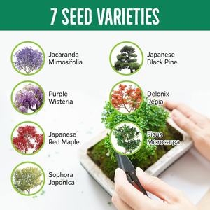 Kit de Inicio para Bonsái, Set Japonés de Bonsái con Árbol, 7 Herramientas y Macetas para el Hogar u Oficina, Regalo para Amantes de las Plantas, para Hombres y Mujeres - Product Image 2