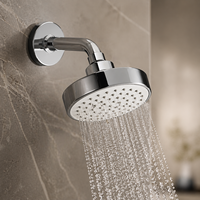 Bras de douche professionnel en laiton massif chromé, avec écusson mural carré, articulation à rotule orientable réglable, entrée filetée, pour usage domestique et hôtelier