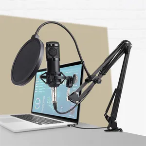 Condenser Microphone Professional Studio Audio Live Stream Device Sets For Youtube Podcast Interview Sound Card Mic Combo