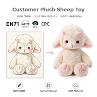 Peluches personnalisées OEM, peluche agneau moelleuse avec sachet aromatique apaisant intégré, poupée en peluche au design personnalisé, cadeau de marque, certifié CE