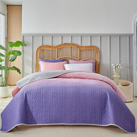 Couette matelassée de style minimaliste disponible pour toutes les saisons ensemble de couvre-lit doux et confortable