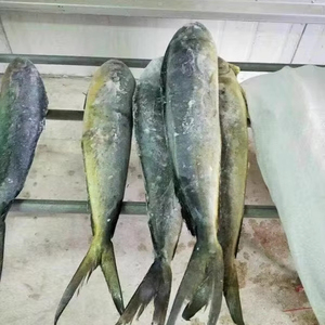 <span class=keywords><strong>Mahi</strong></span> <span class=keywords><strong>Mahi</strong></span> แช่แข็ง - Product Image 1