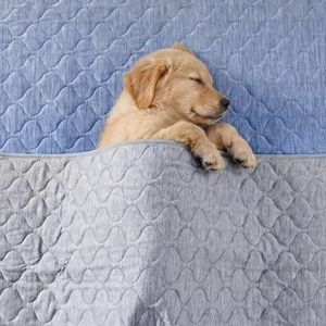 <b>Dog</b> Cooling Mat Winter Waterproof Indoor <b>Sofa</b> Couch Pee Pad Washable Lightweight Heat Relief <b>Dogs</b> Cats Outdoor Travel - Product Image 2
