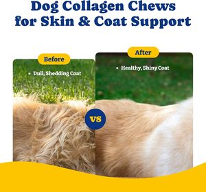 Masticables Blandos de Colágeno Múltiple para Perros, para la Movilidad de Cadera y Articulaciones, Bienestar de la Piel y el Pelaje, Tipo I, II y <span class=keywords><strong>III</strong></span>, 120 Unidades, Sabor a Pato y Pera - Product Image 4
