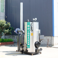 Generator uap kecil otomatis, ketel 300kg jam, Kolam renang vertikal, pemanas pusat industri, tabung api batu bara