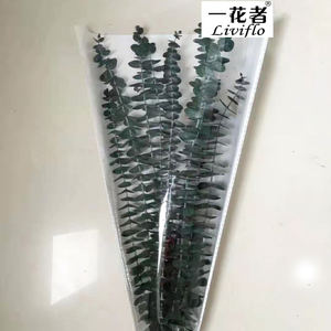 Nouvel article Eucalyptus immortel feuilles d'eucalyptus conservées à la main fleur de feuille d'eucalyptus - Product Image 4