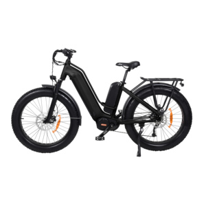 Vélo électrique rigide et bon marché, vélo électrique à mi-moteur, vélo électrique dapu à double batterie, gros vélo électrique - Product Image 1