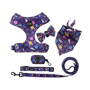 OEM/ODM conjunto de arnes para perro collar perro dog harness set and leash bandana french bulldog harness