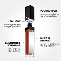 Tube de Brillant à Lèvres Personnalisé avec Lumière LED et Miroir Végétalien Imperméable Non-Collant Rouge à Lèvres Liquide
