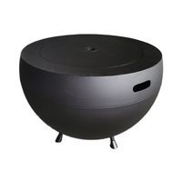 Barbecue portable en acier, résistant à l'eau, pour extérieur, à charbon de bois, foyer, poêle, peinture haute température pour extérieur