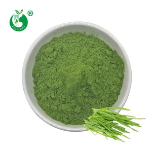 Pincredit USDA Halal Certificado Cebada Hierba Jugo Polvo Orgánico Verde Cebada Hierba Polvo - Product Image 2