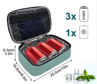 Sacs isothermes portables, petit sac à lunch pour hommes, femmes et enfants, boîte à lunch isolée, mini boîte à lunch