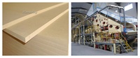 Ligne de production de MDF entièrement automatique/semi-automatique/fabricant de machines MDF/HDF personnalisé