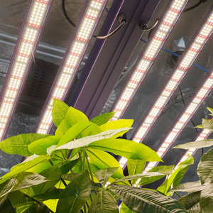 Meijiu - Lámpara de Cultivo LED de 720W con Controlador, Último Modelo, IP65, 2.6Umol, Luces Rojas y Blancas, para Horticultura Vertical - Product Image 5