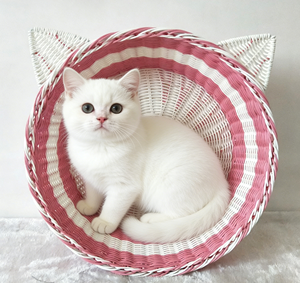 Nouveau panier de rangement tressé en rotin PE rose, forme de chat ronde, résistant aux rayures, pour animaux de compagnie, lit pour chat, très tendance - Product Image 3