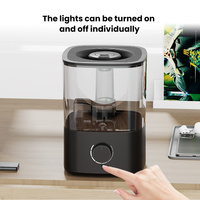 Humidificateur portable à ions négatifs, diffuseur ultrasonique désinfectant, humidificateur d'air rechargeable USB pour chambre à coucher