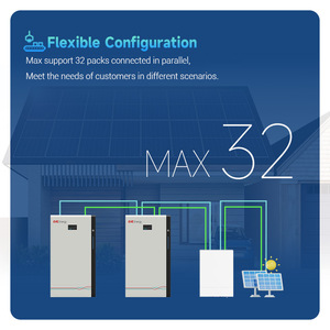 For Home <b>Energy</b> <b>Storage</b> <b>System</b> 16.07kWh 314Ah Lithium Battery Wall-Mounted Solar Off-Grid 10-20kW - Product Image 6