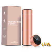Thermos isotherme en acier inoxydable à double paroi de 500 ml avec logo personnalisé, infuseur à thé et affichage LED de la température