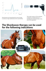 جهاز العلاج بالموجات الصدمية البيطرية المتقدم، معدات احترافية للعلاج بالموجات الصدمية للتطبيقات السريرية الحيوانية - Product Image 5