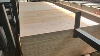 Contreplaqué multicouche Okoumé avec âme en peuplier et eucalyptus, placage double face en acajou, contreplaqué de haute qualité, vente directe d'usine