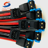Adaptor Baterai Sepeda Motor Listrik Liushi 2+9 Konektor Pria/Wanita 120A Inti Tembaga Selubung Silikon Kabel Nilon