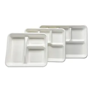 Biodegradable 3 5 6 Compartment Lunch Plate School Bento Disposable Sugarcane Bagasse Tray