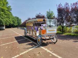 Vehículo de transporte personal eléctrico de 11 plazas/4 filas de asientos de carruaje de caballos - Product Image 5