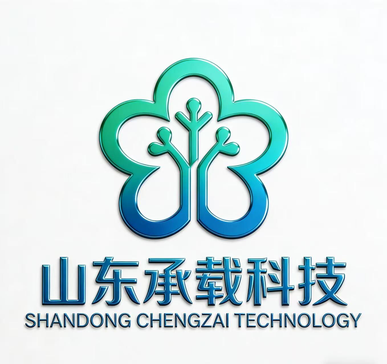 Shandong Chengzai Technology Service Co., Ltd. logo