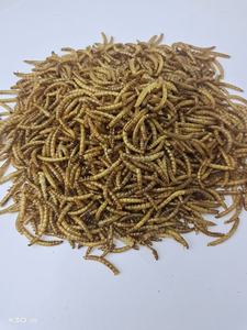 Pure Natural Alta Proteína Custom Mealworms Seca Tartaruga Comida - Product Image 4