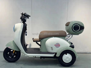 รถสามล้อไฟฟ้าแบบมีล้อ<span class=keywords><strong>3</strong></span>ล้อเปิด5-7ชั่วโมงสำหรับผู้ใหญ่จักรยานไฟฟ้าสามล้อ600W 800W 1000W - Product Image 6