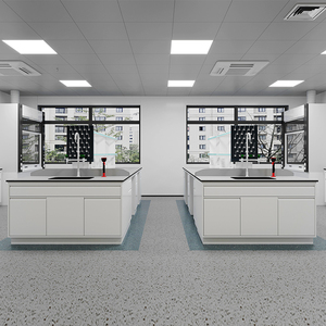 Bester Preis Stahl Chemielabor Arbeitstisch Bodenmontierte Labormöbel Arbeitsplatte Werkbank für Krankenhaus und Schule Modern - Product Image 6