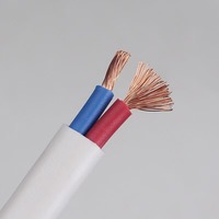 RVVB 2*1,5/2,5/4 mm² zweiadriges, flach ummanteltes, flexibles Kabel, speziell für freiliegende Verkabelung in Haushaltsinstallationen konzipiert.