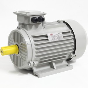 Motores de CA Serie YE Y2 315L2-6 de 2 <span class=keywords><strong>HP</strong></span> a 75 <span class=keywords><strong>HP</strong></span>, 750 RPM - 3000 RPM, 220V, 50Hz, Motores de Inducción Trifásicos - Product Image 1
