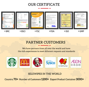 Wholesale Eco-Friendly Custom Logo Wet <strong>Dry</strong> <strong>Wipes</strong> Multi-Purpose Travel Mini Cleansing Wet <strong>Wipes</strong> Individually Wrapped - Product Image 2