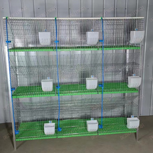 3-Tier 9-Cell thép mạ kẽm h-loại công nghiệp thỏ Lồng tự động phân loại bỏ bền 8 + năm tuổi thọ Điều kiện Mới - Product Image 4