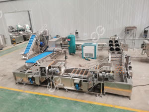 Chine Petite machine automatique à casser et à éplucher les bulbes <span class=keywords><strong>d</strong></span>'<span class=keywords><strong>ail</strong></span> et de gingembre Machine à éplucher l'<span class=keywords><strong>ail</strong></span> et l'oignon similaire - Product Image 2