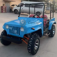 Voiture tout-terrain à batterie, kart électrique, mini jeep homologuée pour la route, buggy de golf à essence 4x4 200cc 250cc 300cc, mini jeep à essence