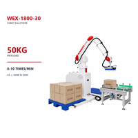 Robot Palettiseur Collaboratif 50 kg avec Pince pour l'Empilage de Boîtes et la Manipulation de Caisses en Usine, avec Bras Robotique Industriel pour l'Emballage