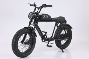 Vélo électrique de ville EBIKE 500W 48V avec pneus larges de 20 pouces, batterie 20Ah, vitesse 45 km/h, moteur à moyeu arrière 6 vitesses, pour les déplacements urbains et les loisirs - Product Image 4