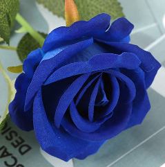 Bleu